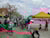Landeveis Mesterskap 2014